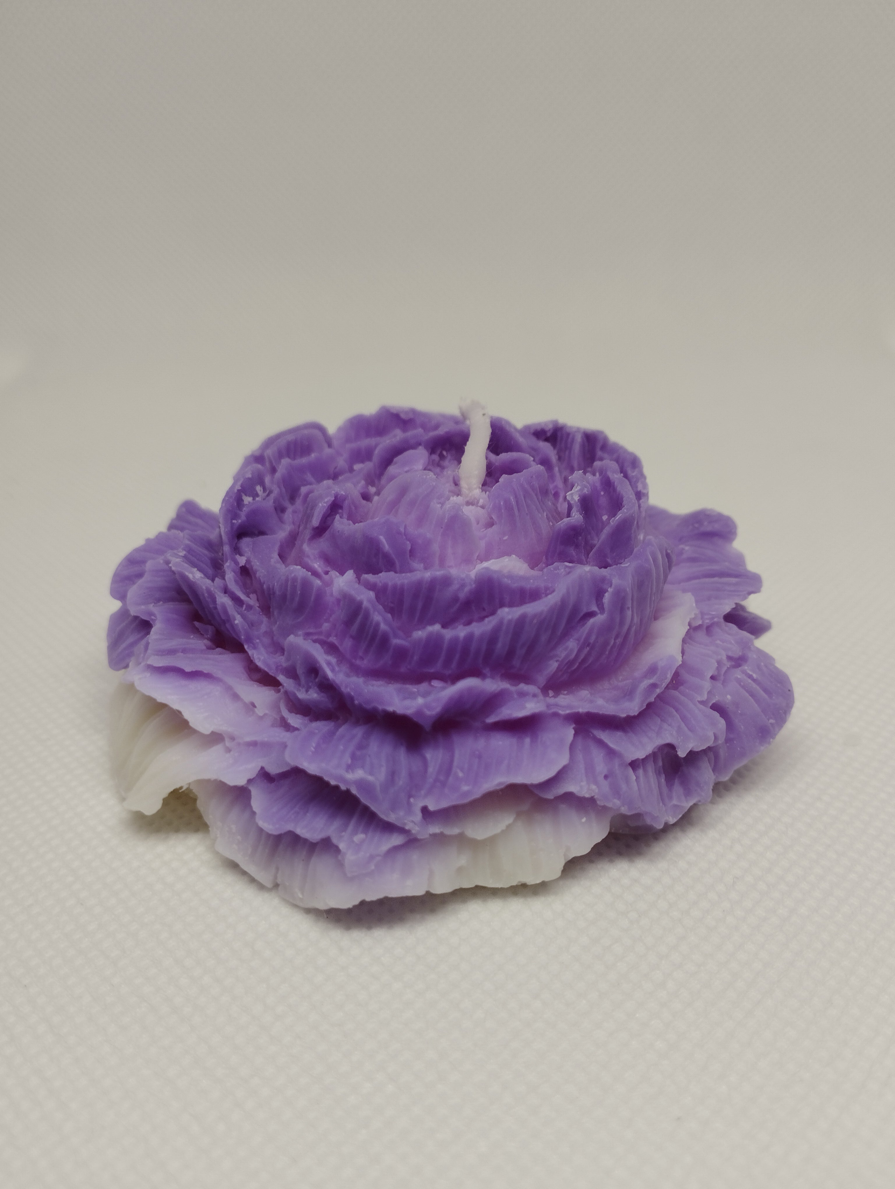 PETITE PIVOINE