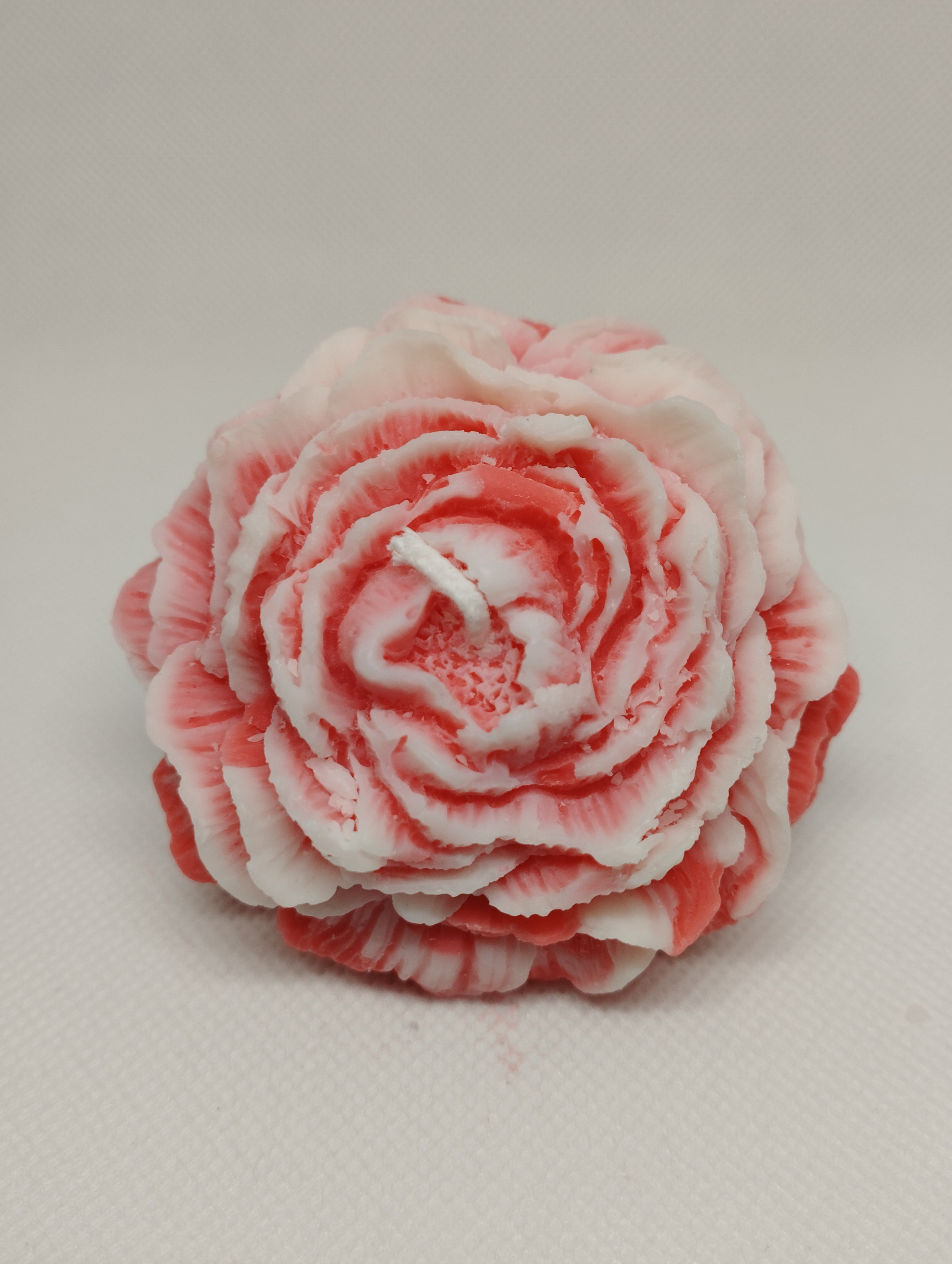 PETITE PIVOINE