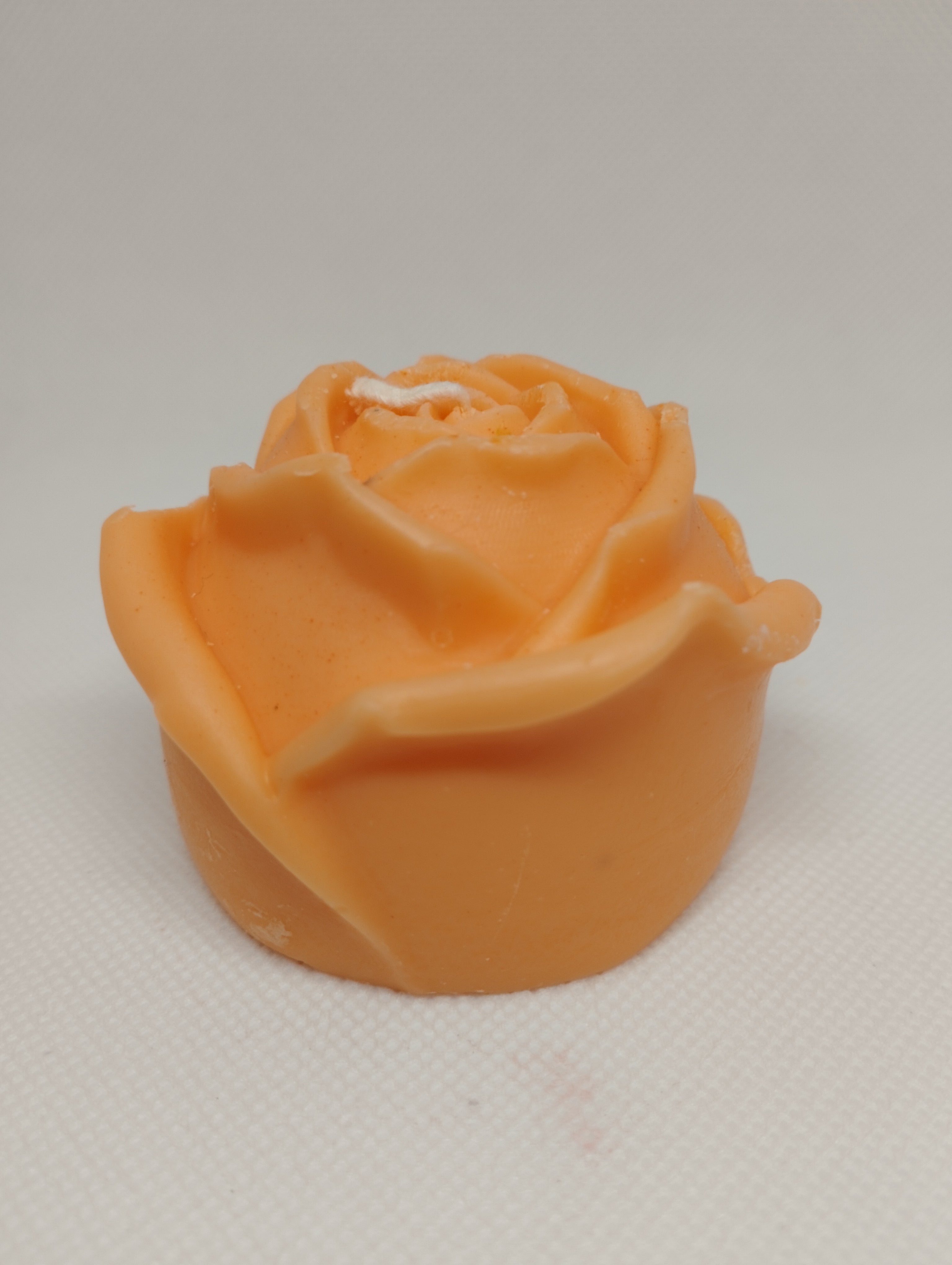 ROSE 2