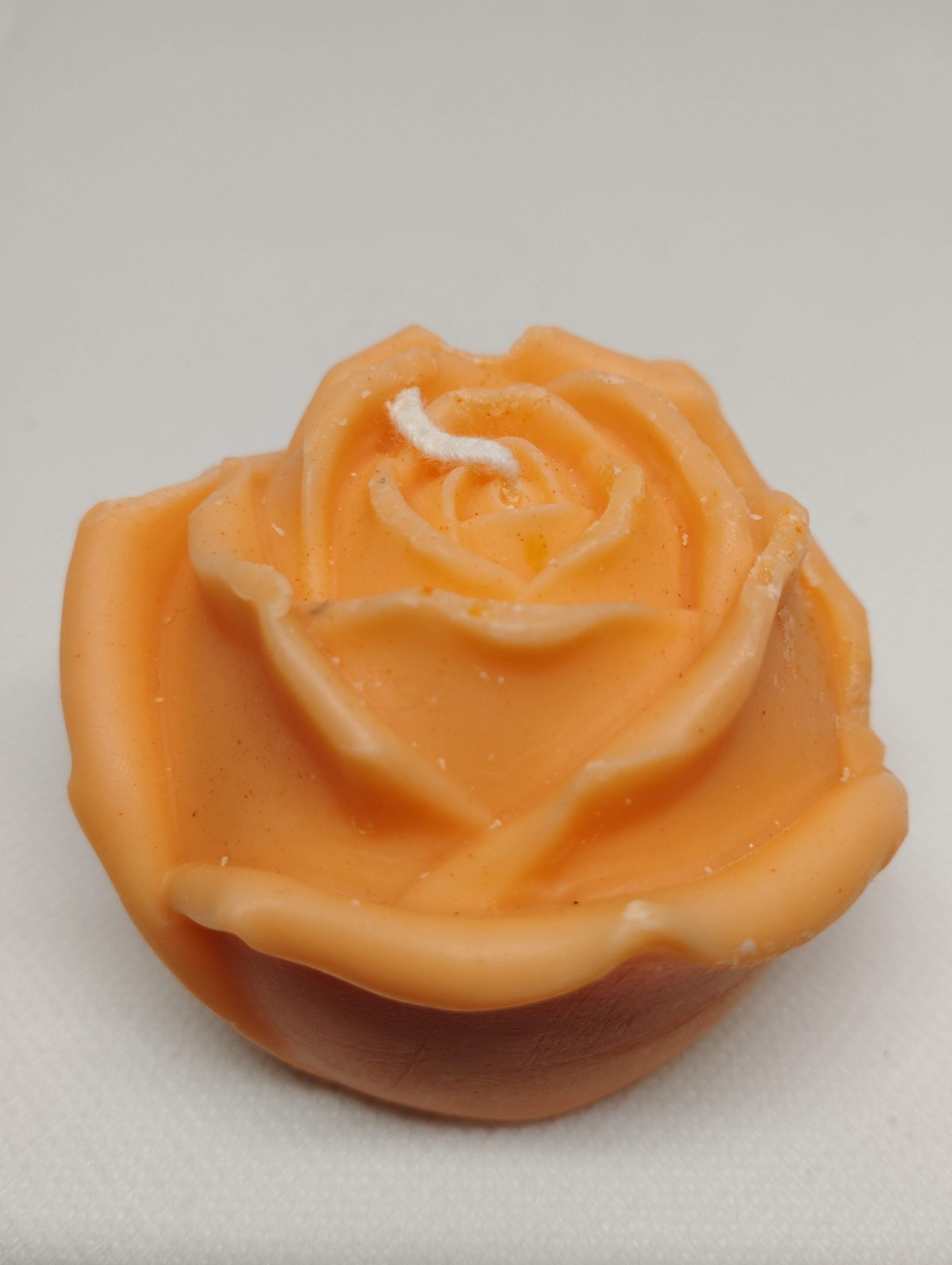 ROSE 2