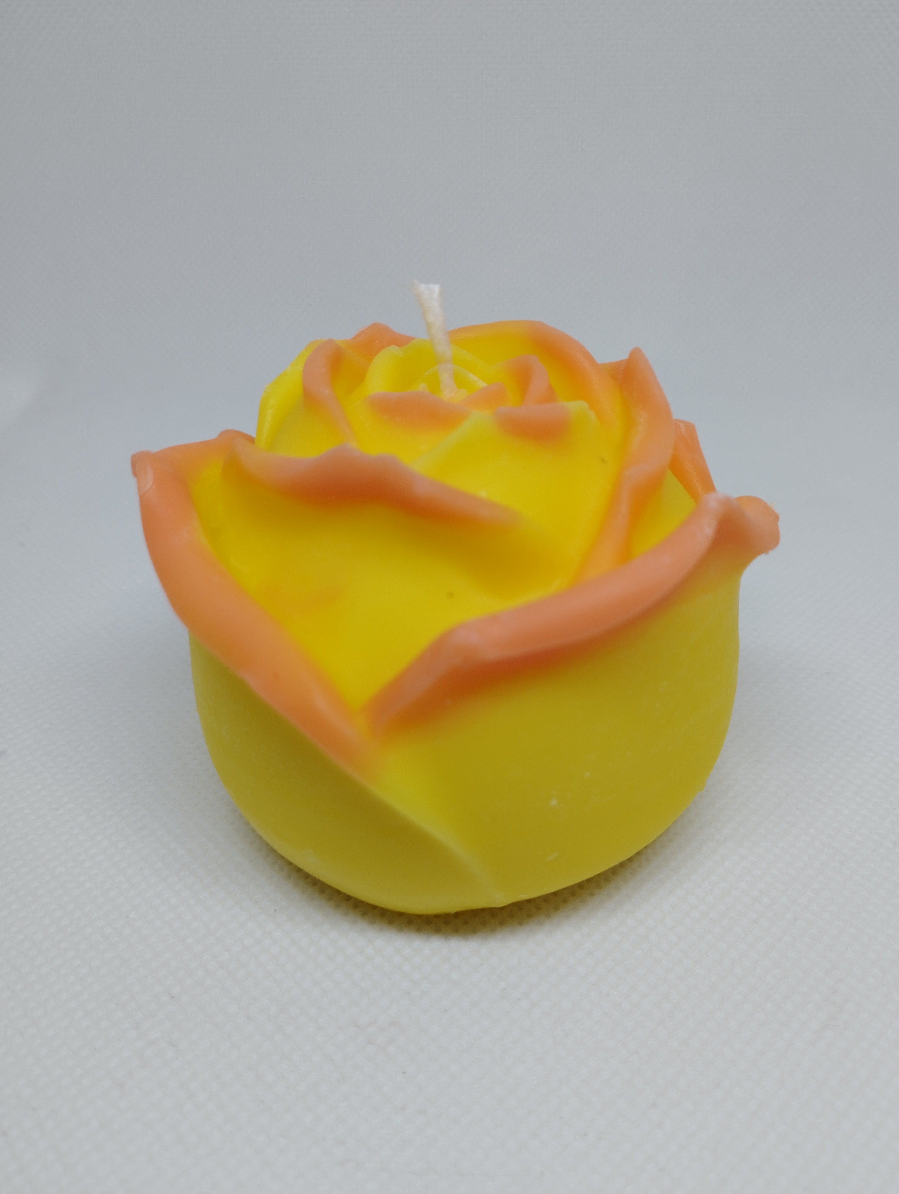 ROSE 2