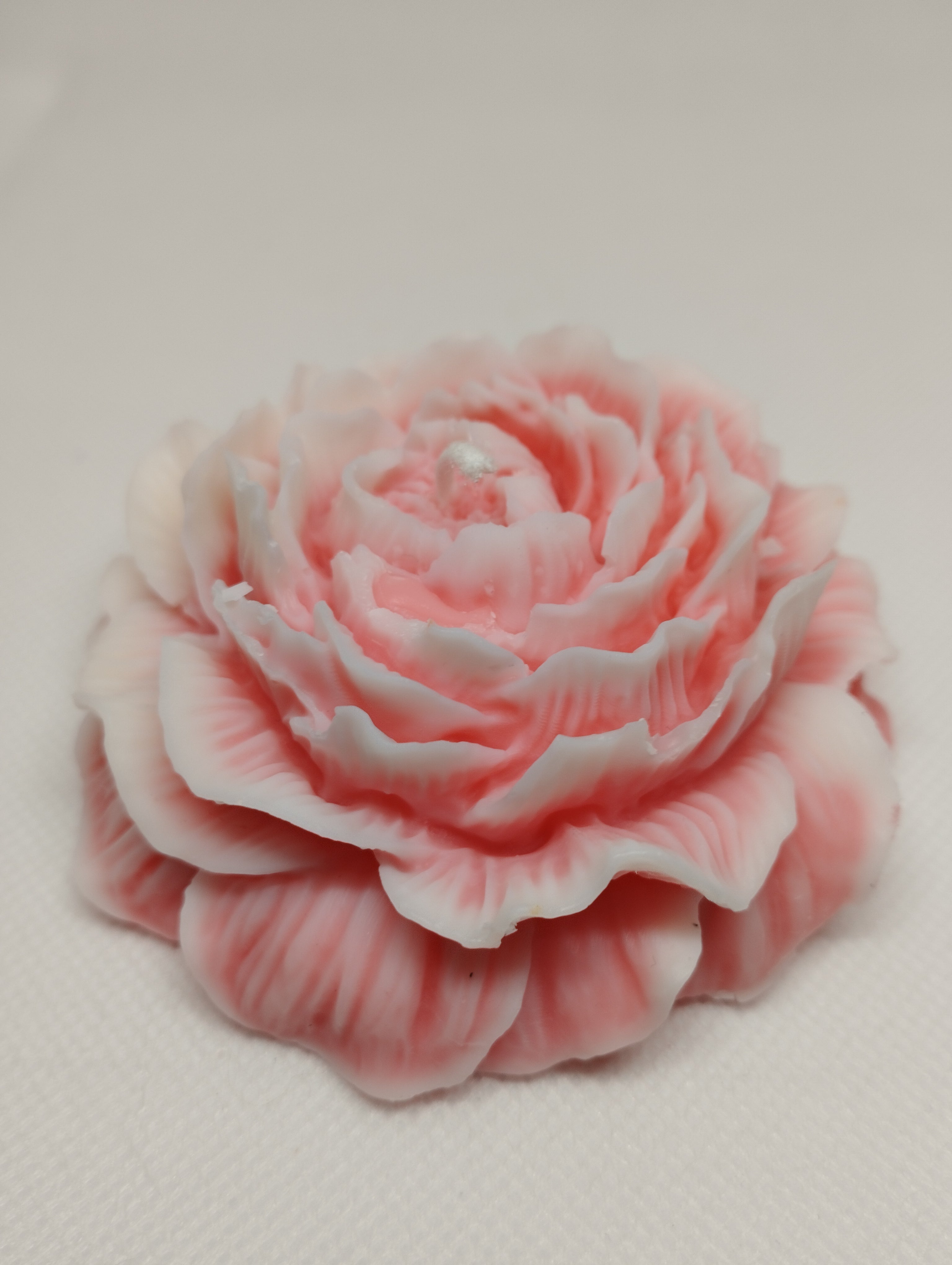 GRANDE PIVOINE