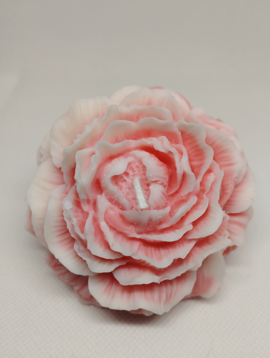GRANDE PIVOINE