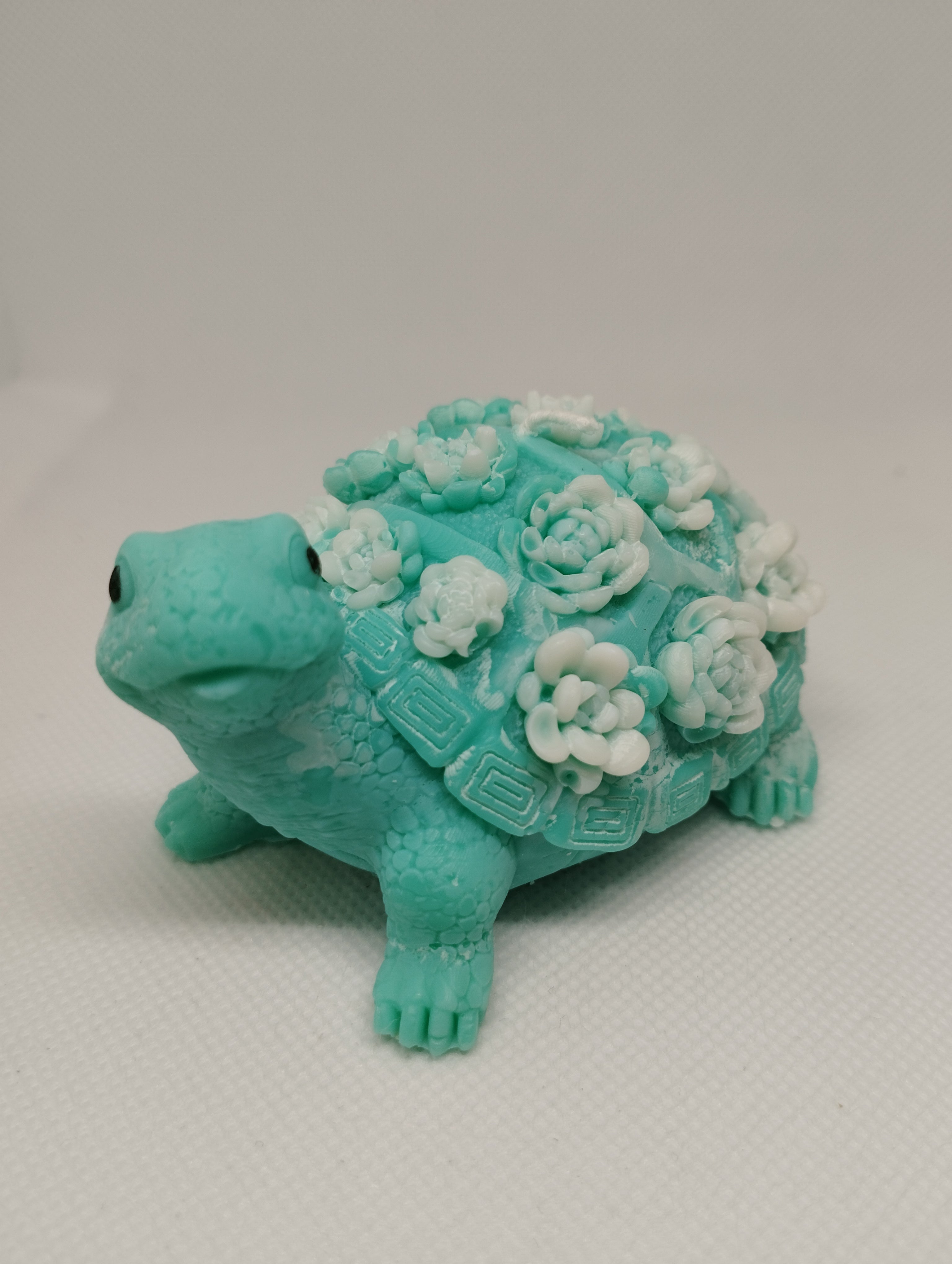 TORTUE