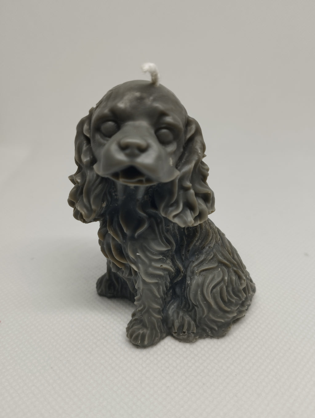 CHIEN COCKER