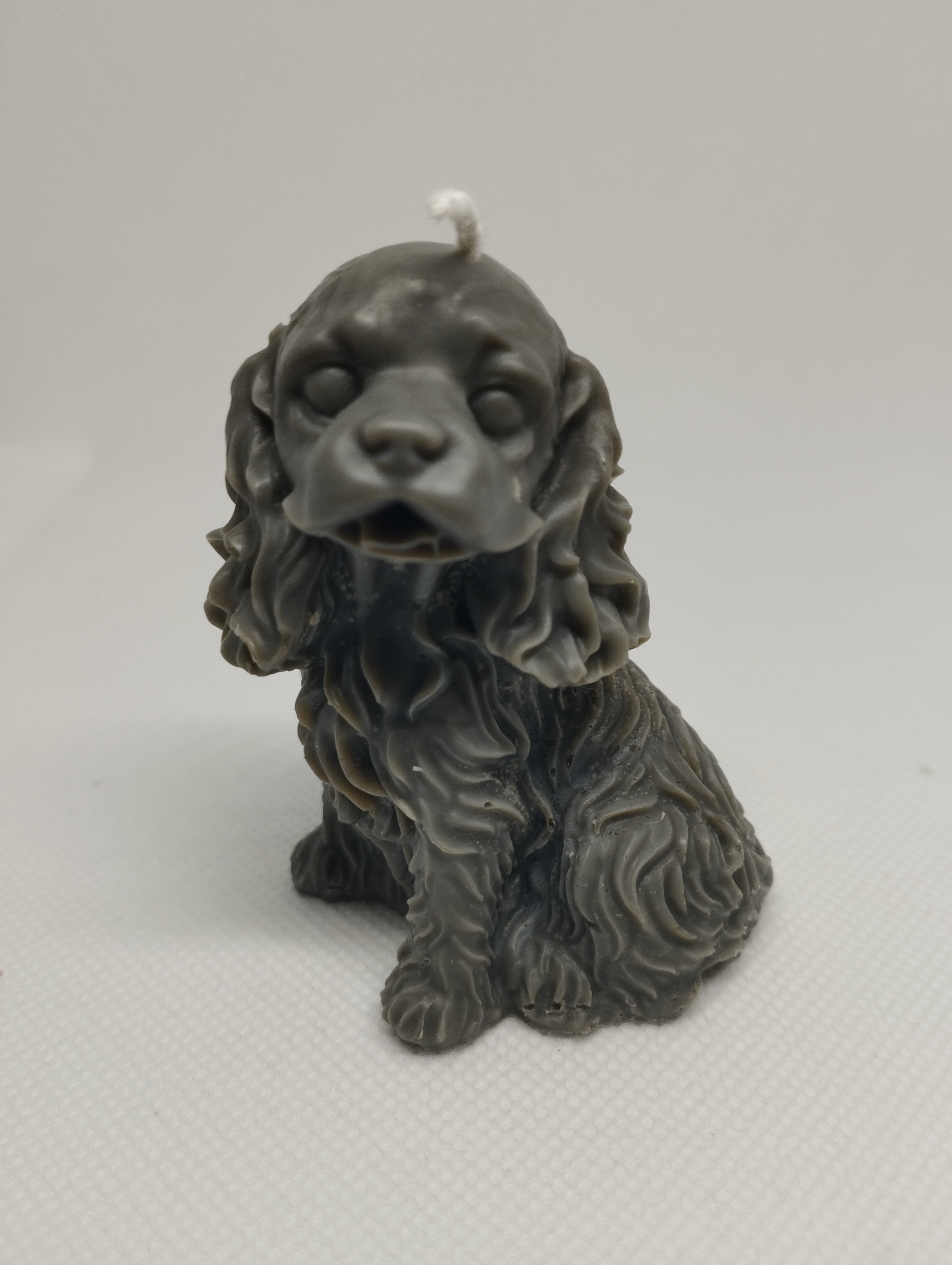 CHIEN COCKER