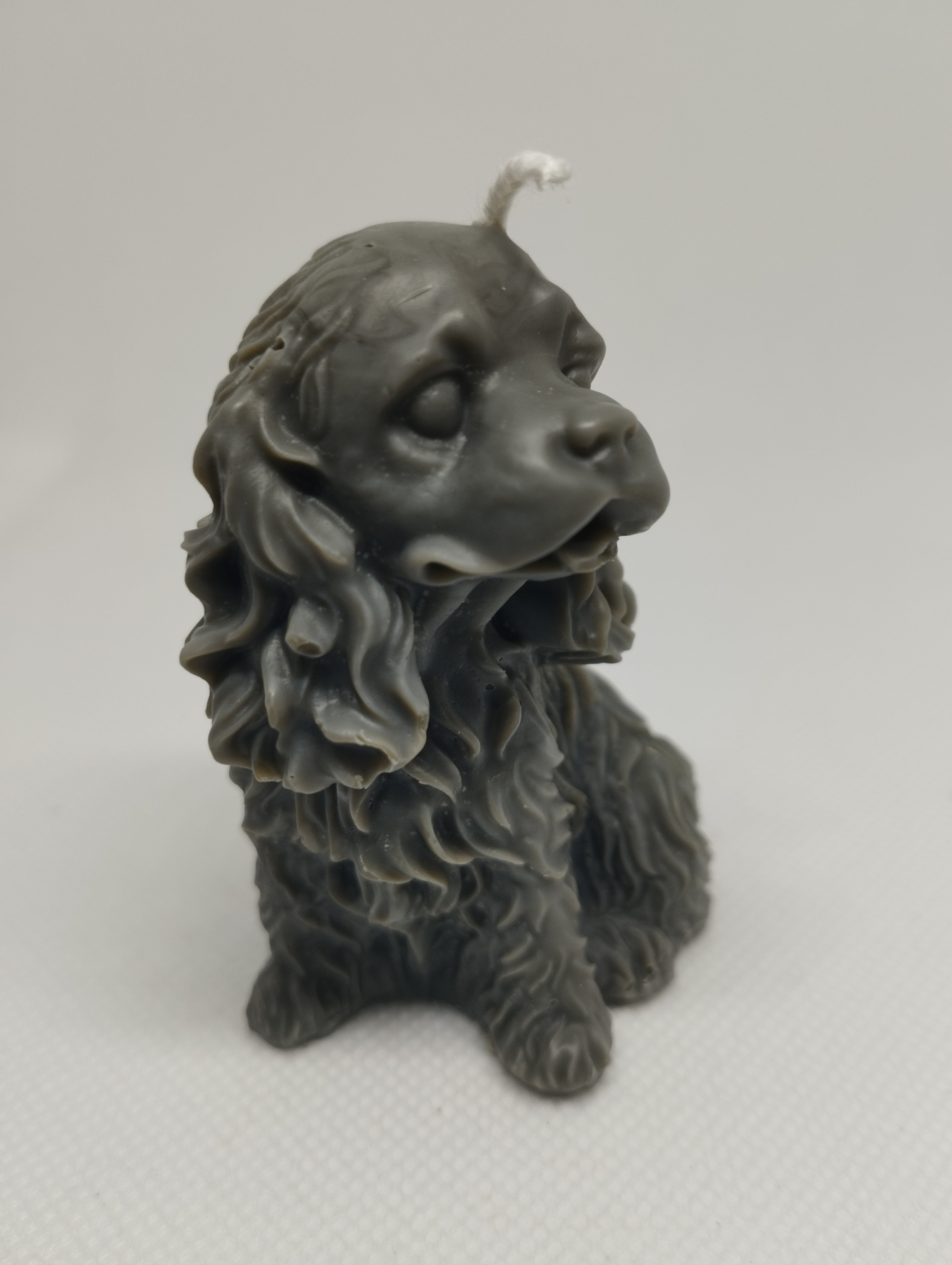 CHIEN COCKER