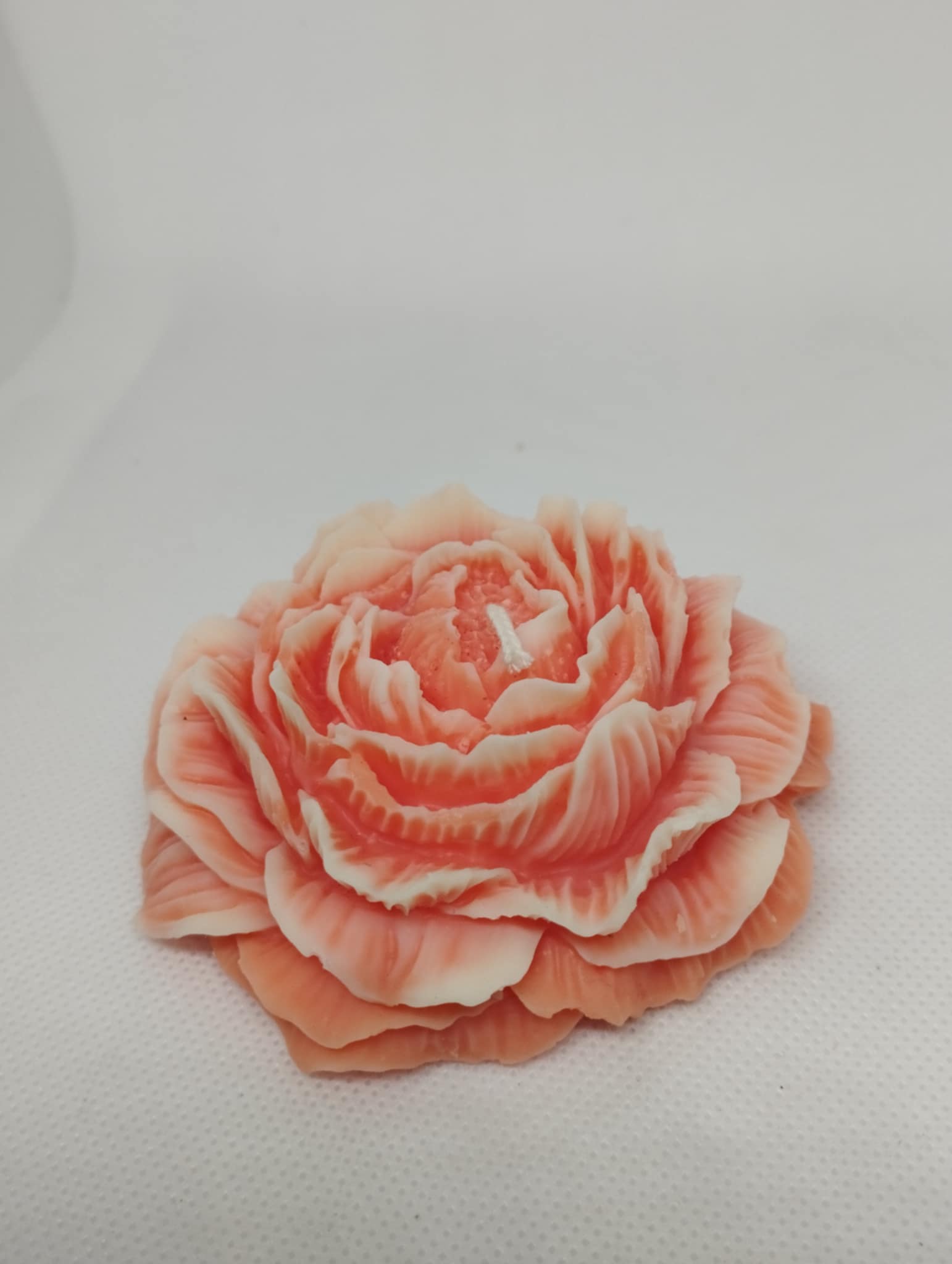 GRANDE PIVOINE