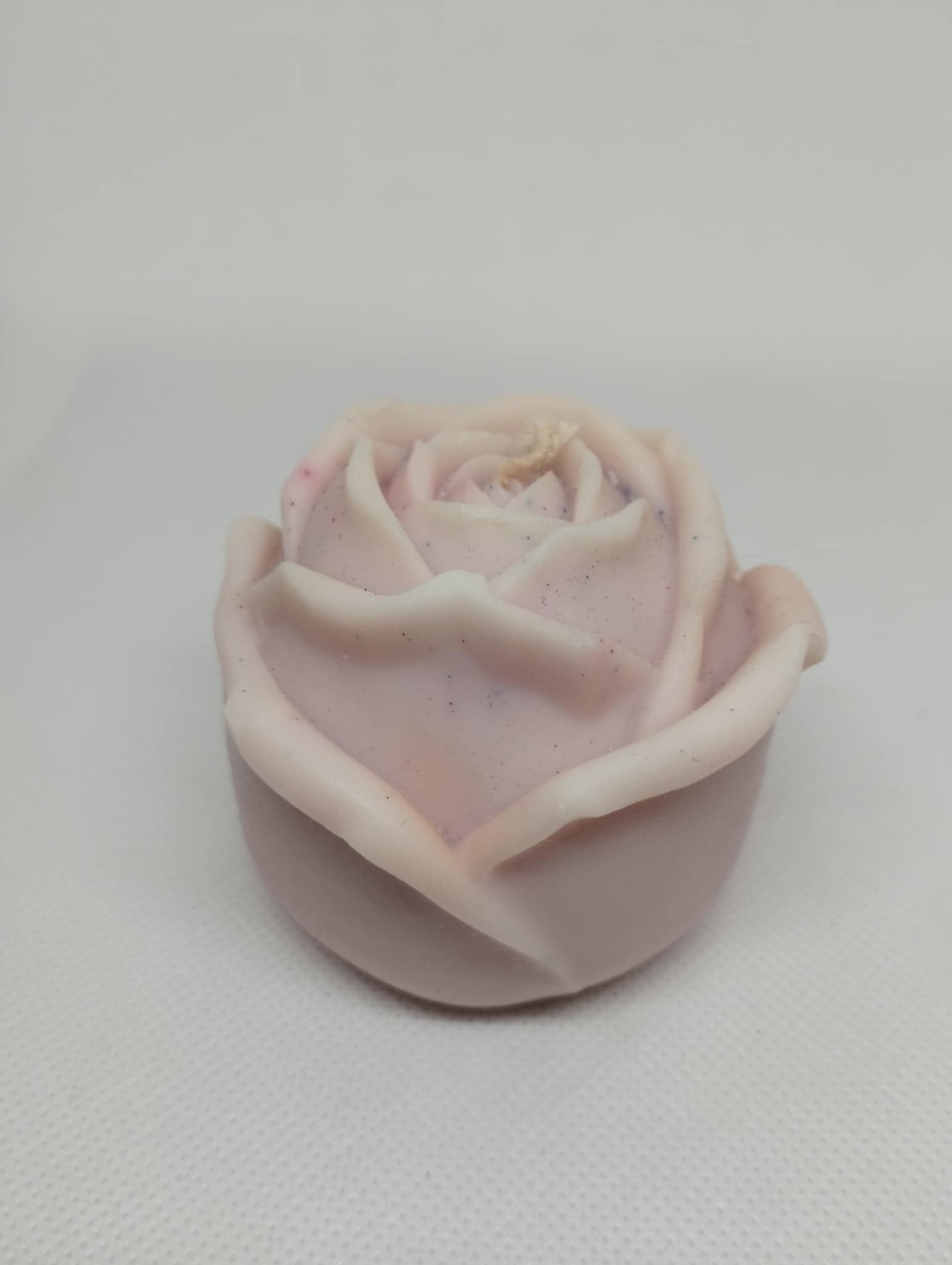 ROSE 2