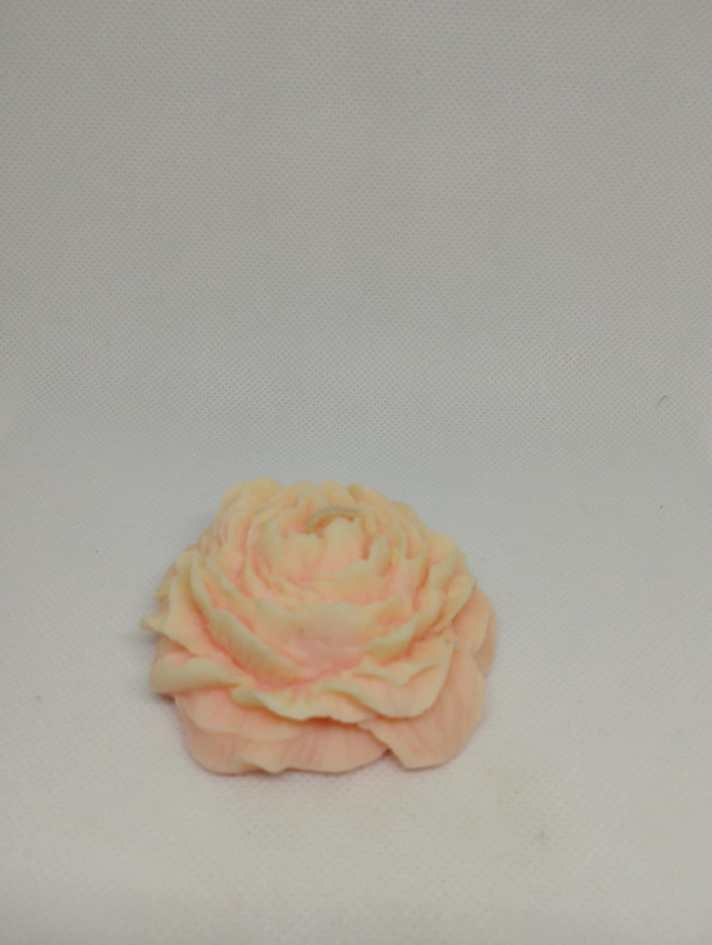 PETITE PIVOINE