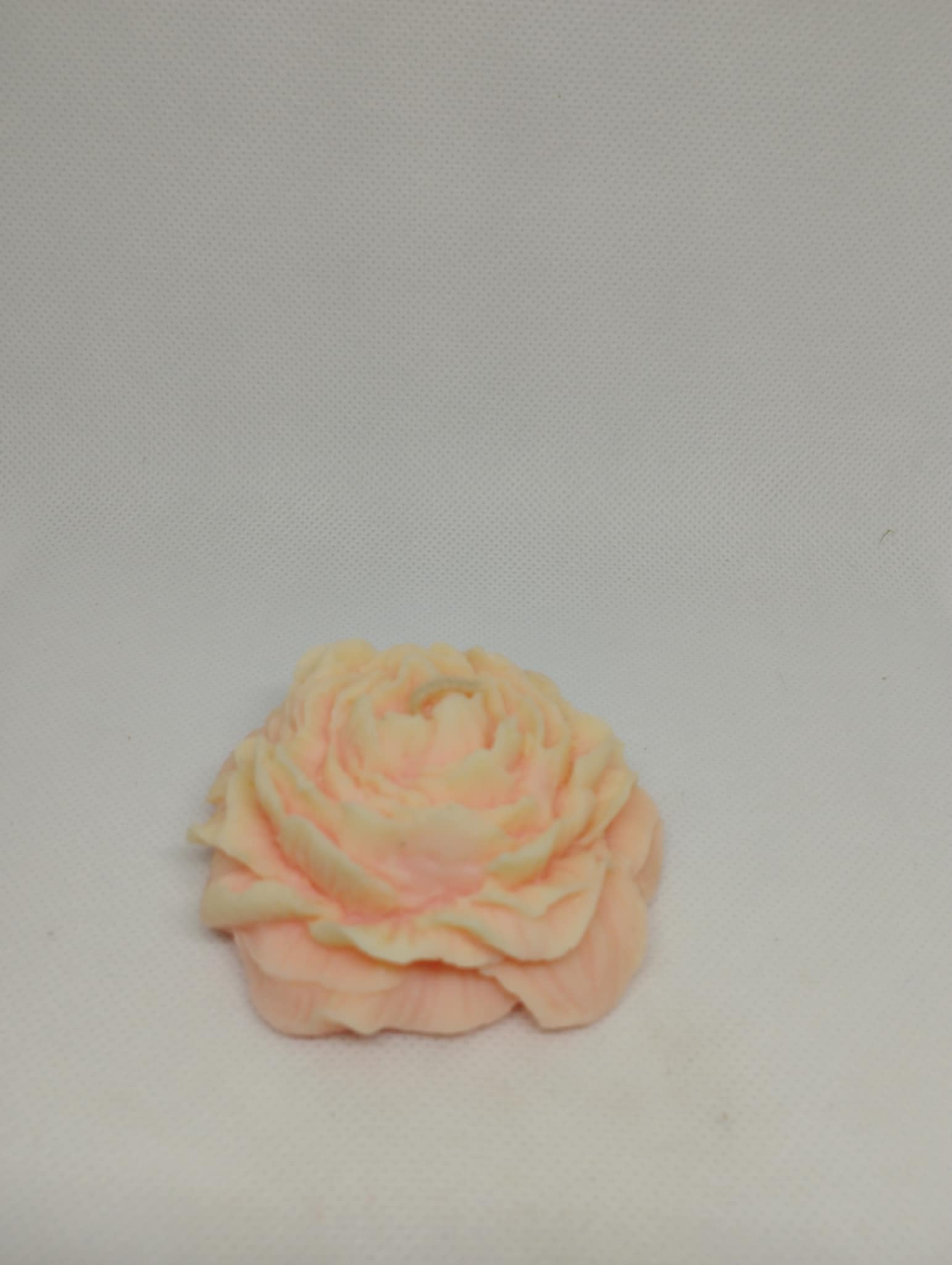 PETITE PIVOINE