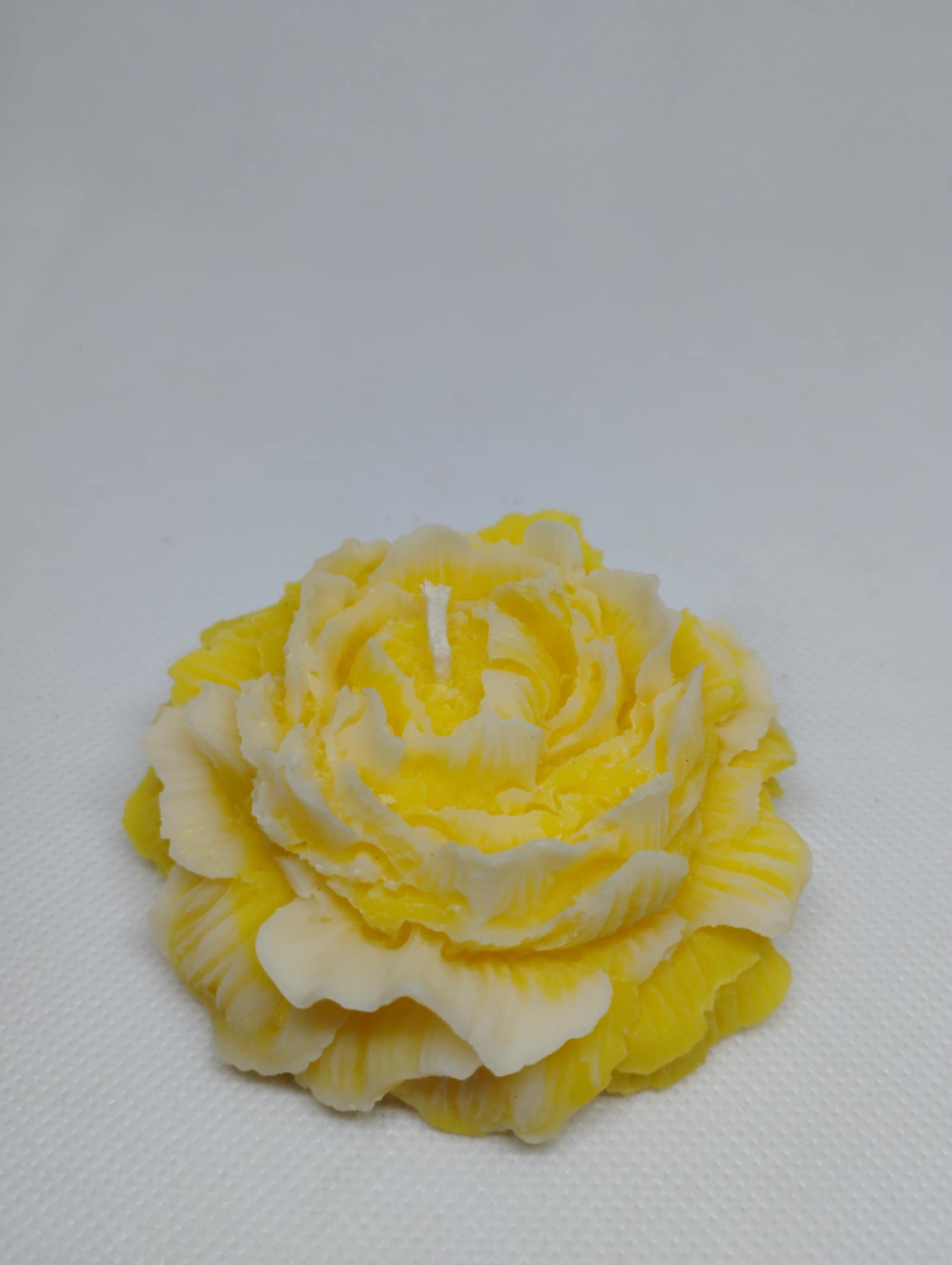 GRANDE PIVOINE